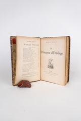 La Princesse d'Erminge — MARCEL PRÉVOST (1904)