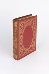 Journey in the Dark – MARTIN FLAVIN