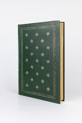 A Portrait of the Artist as a Young Man – JAMES JOYCE (com marcas do tempo)