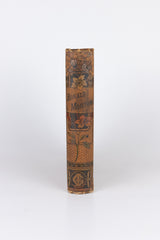 Ronald Morton; or, The Fire Ships – W. H. G. KINGSTON
