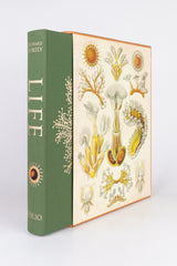 Life: An Unauthorised Biography – RICHARD FORTEY