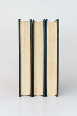 Grande Dicionário Enciclopédico Brasileiro Ilustrado