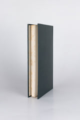 A carne – JÚLIO RIBEIRO