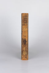 Les Demi-Vierges – MARCEL PRÉVOST