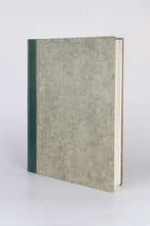 Renoir: Paintings, Drawings and Prints