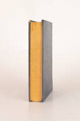 Sagarana – GUIMARÃES ROSA (com marcas do tempo)