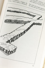 Moedas Holandesas em Pernambuco – RUBENS BORGES BEZERRA