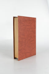 O poço da solidão – MARGUERITE RADCLYFFE HALL