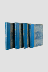 Coleção Monteiro Lobato (21 volumes)