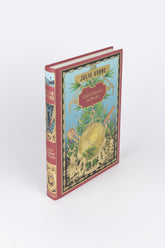 Cinco Semanas em Balão — JÚLIO VERNE