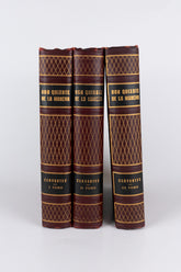 Dom Quixote de La Mancha — MIGUEL DE CERVANTES