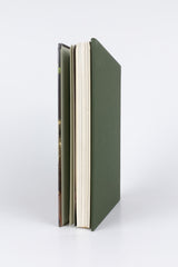 The Siege and Fall of Troy