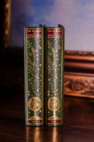 LES ORACLES DE MICHEL DE NOSTREDAME DIT NOSTRADAMUS (2 Volumes)