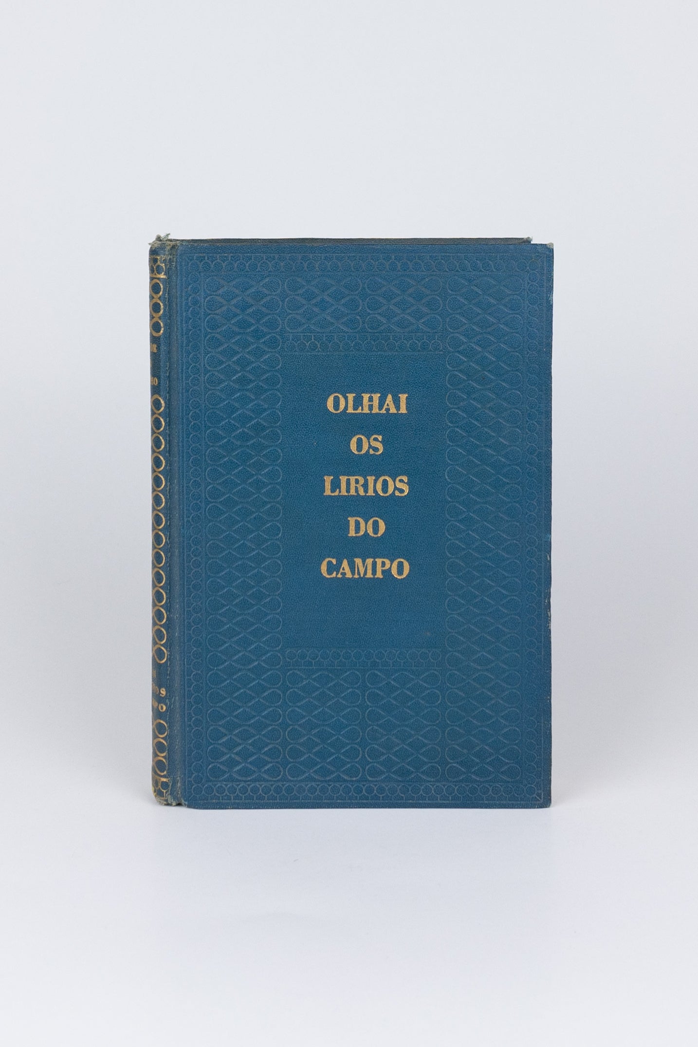 Olhai os lírios do campo — ÉRICO VERÍSSIMO (com marcas do tempo)