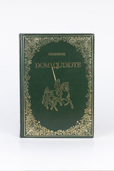 Dom Quixote – MIGUEL DE CERVANTES SAAVEDRA