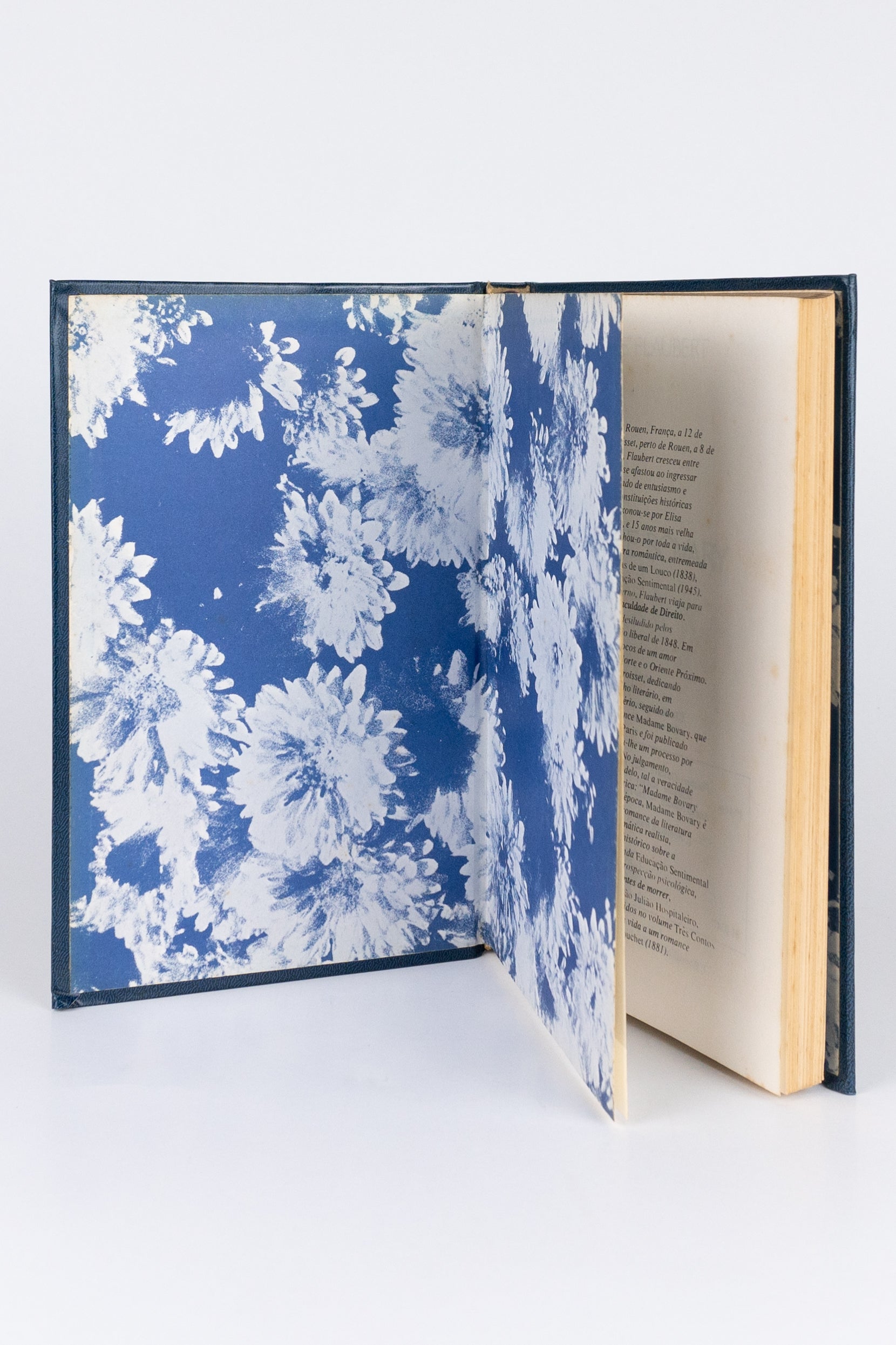 Madame Bovary – FLAUBERT