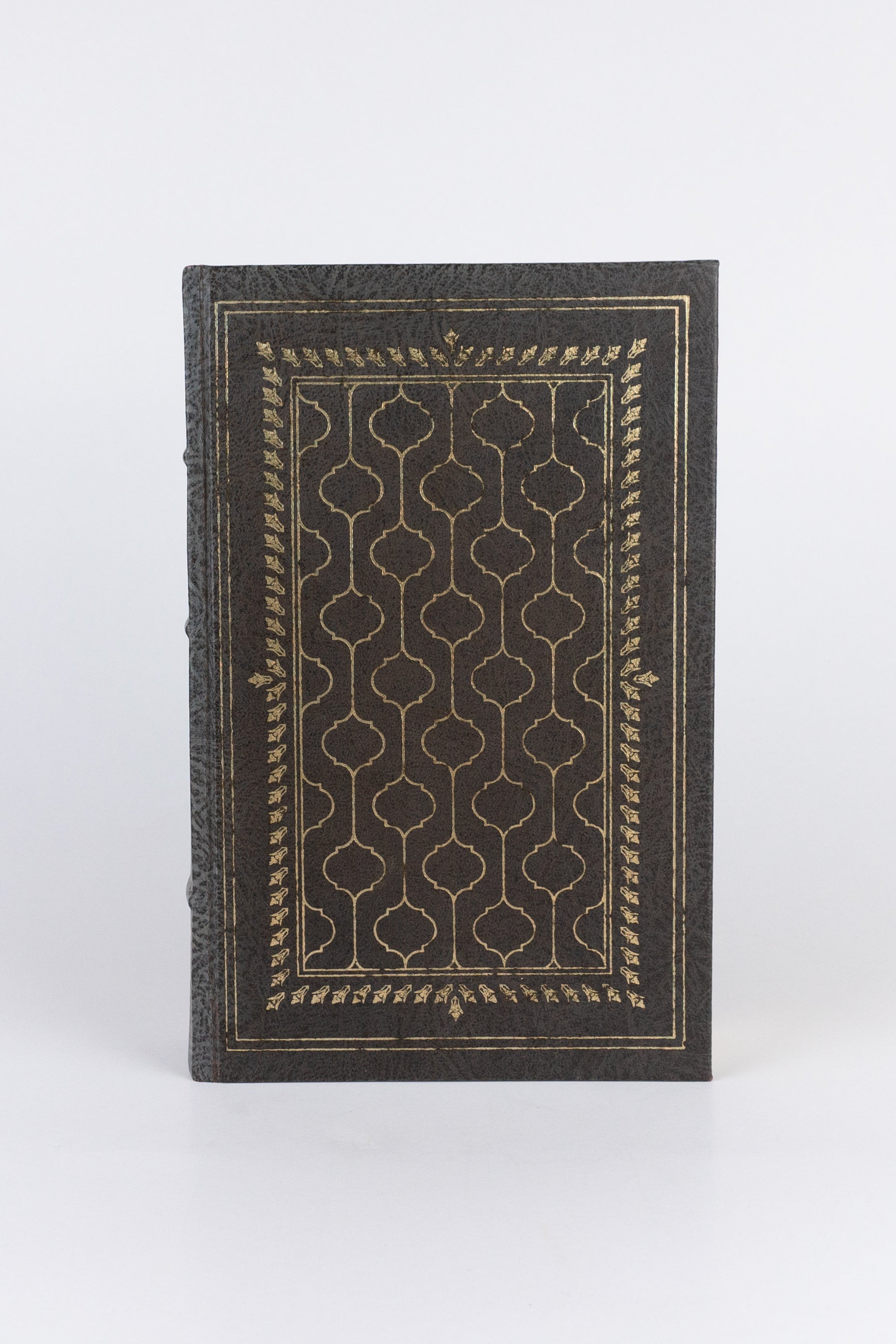 The Magic Mountain – THOMAS MANN