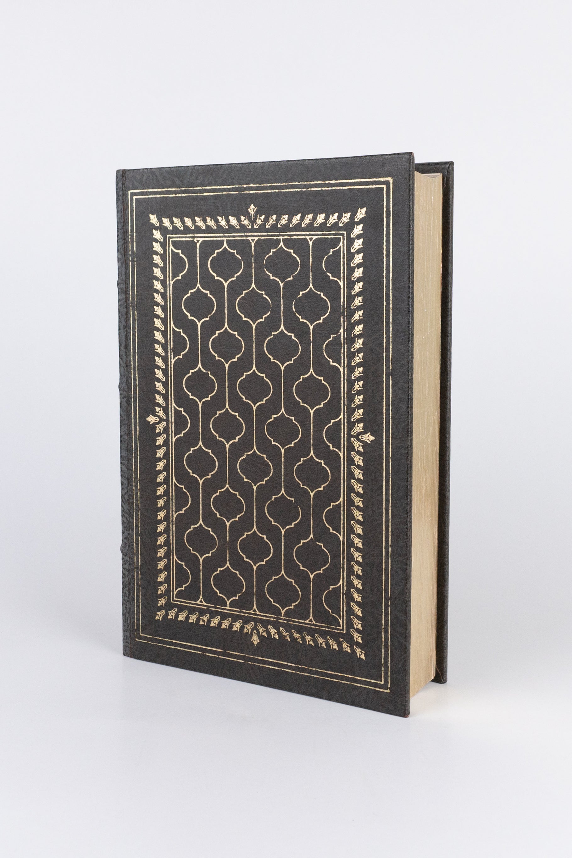 The Magic Mountain – THOMAS MANN