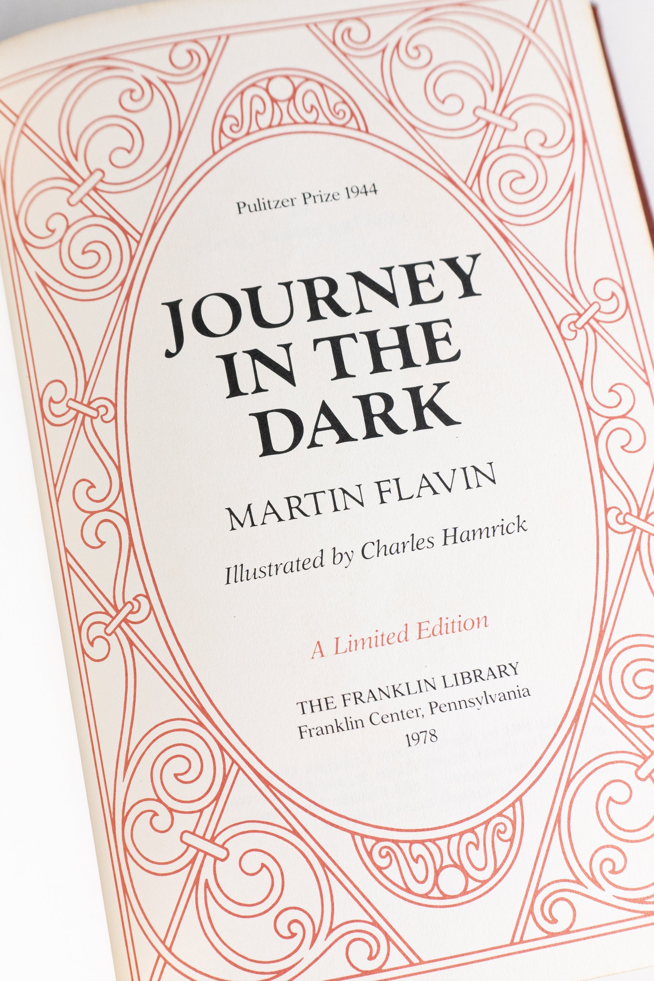 Journey in the Dark – MARTIN FLAVIN