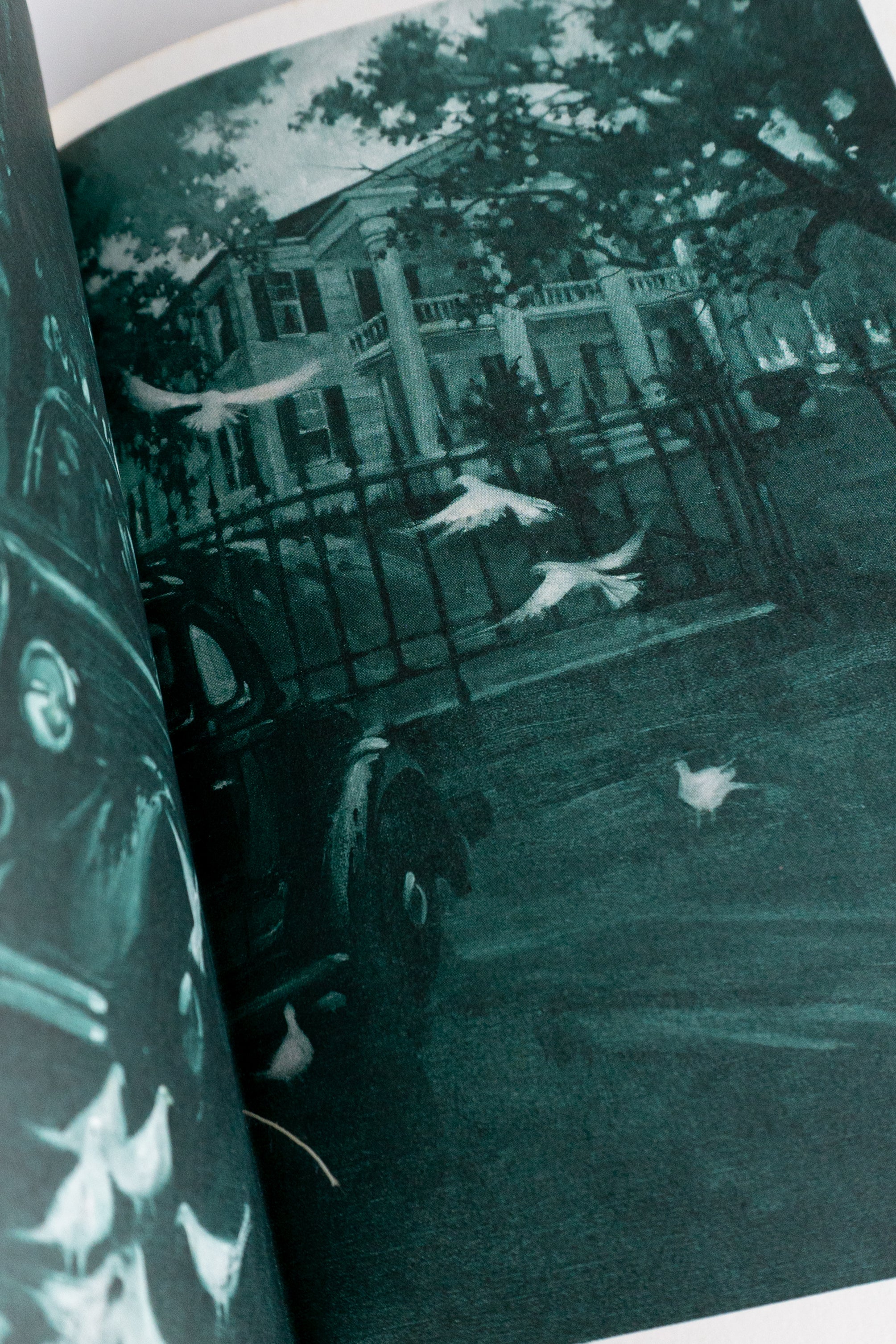 In This Our Life – ELLEN GLASGOW