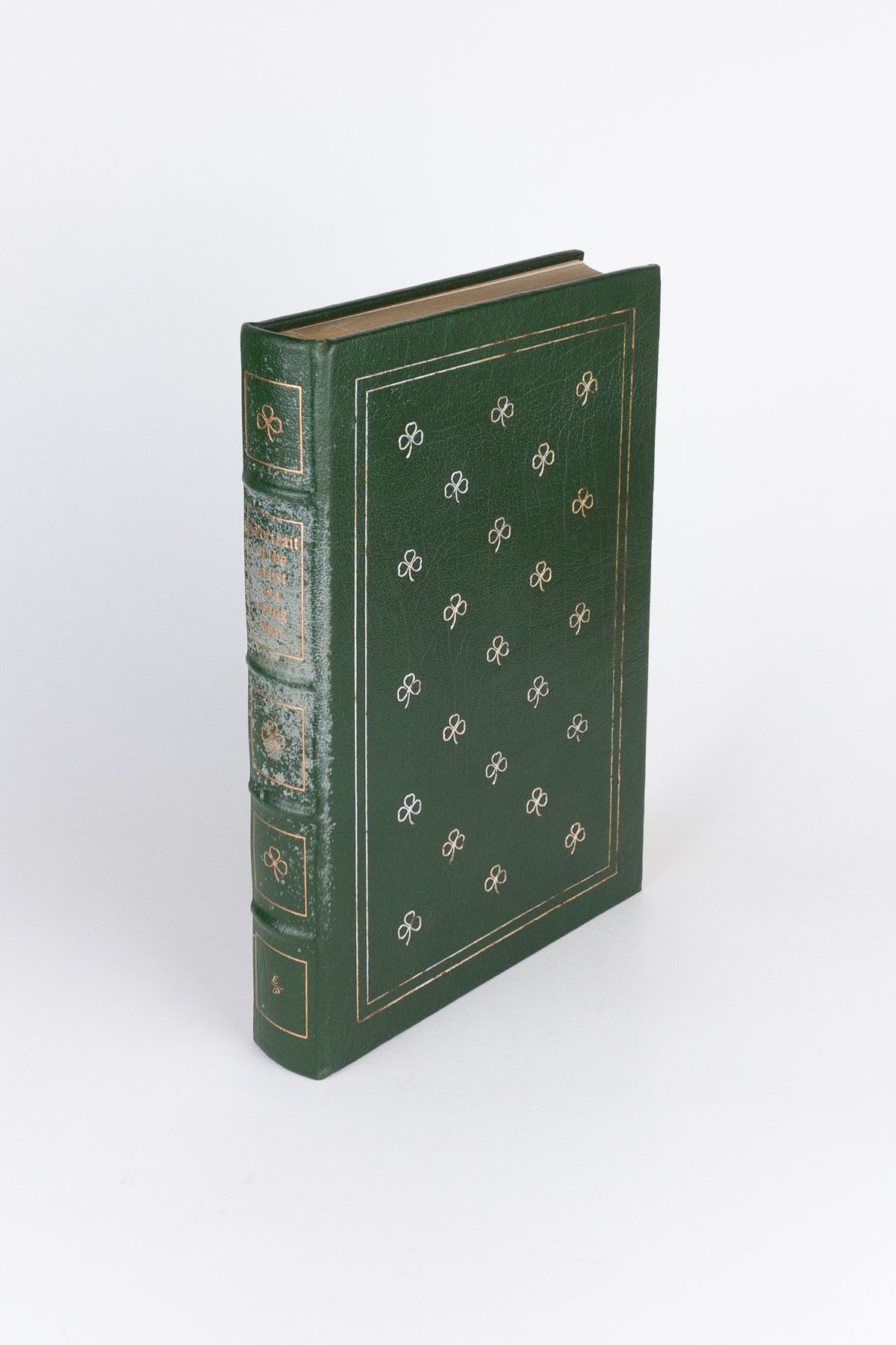 A Portrait of the Artist as a Young Man – JAMES JOYCE (com marcas do tempo)