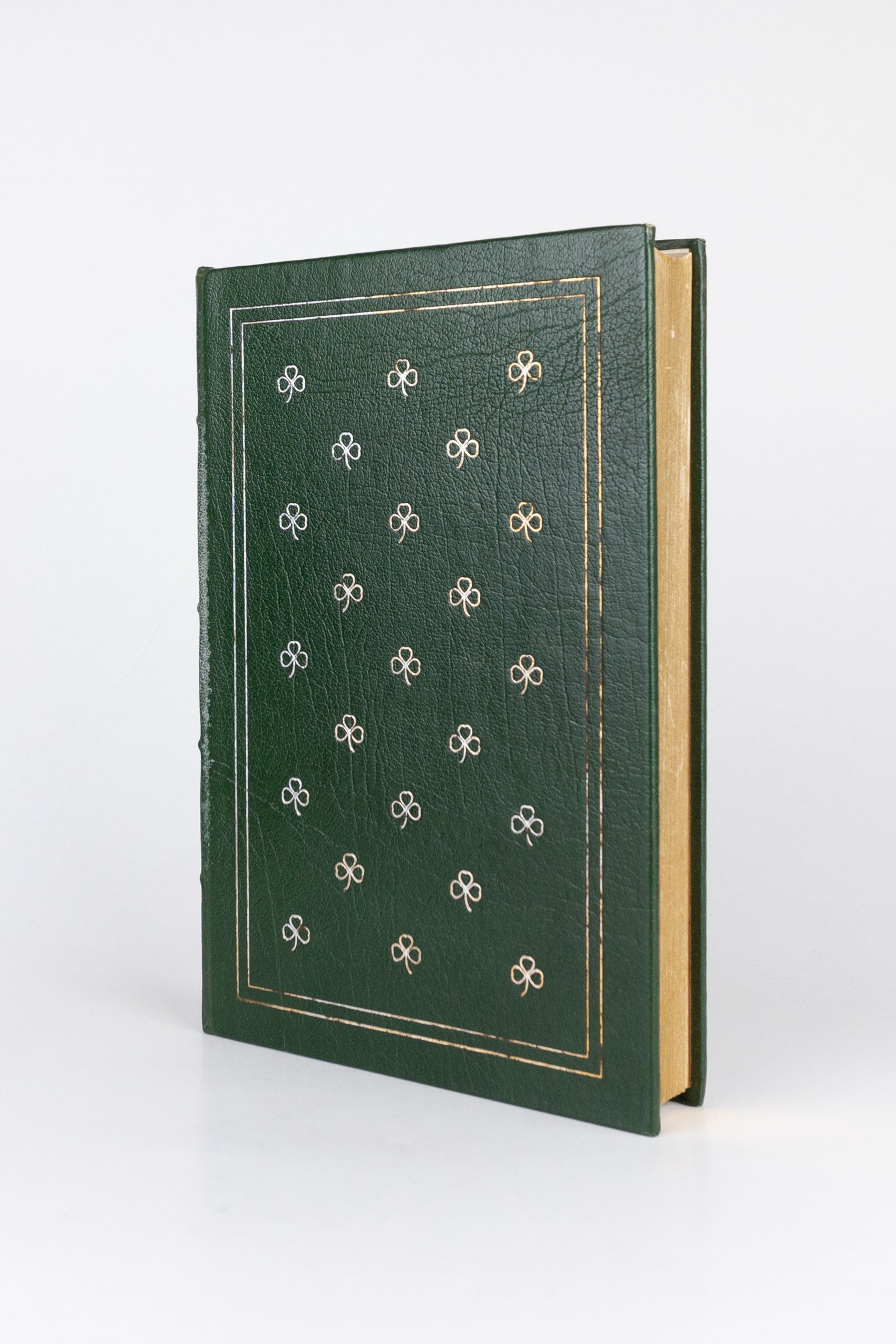 A Portrait of the Artist as a Young Man – JAMES JOYCE (com marcas do tempo)