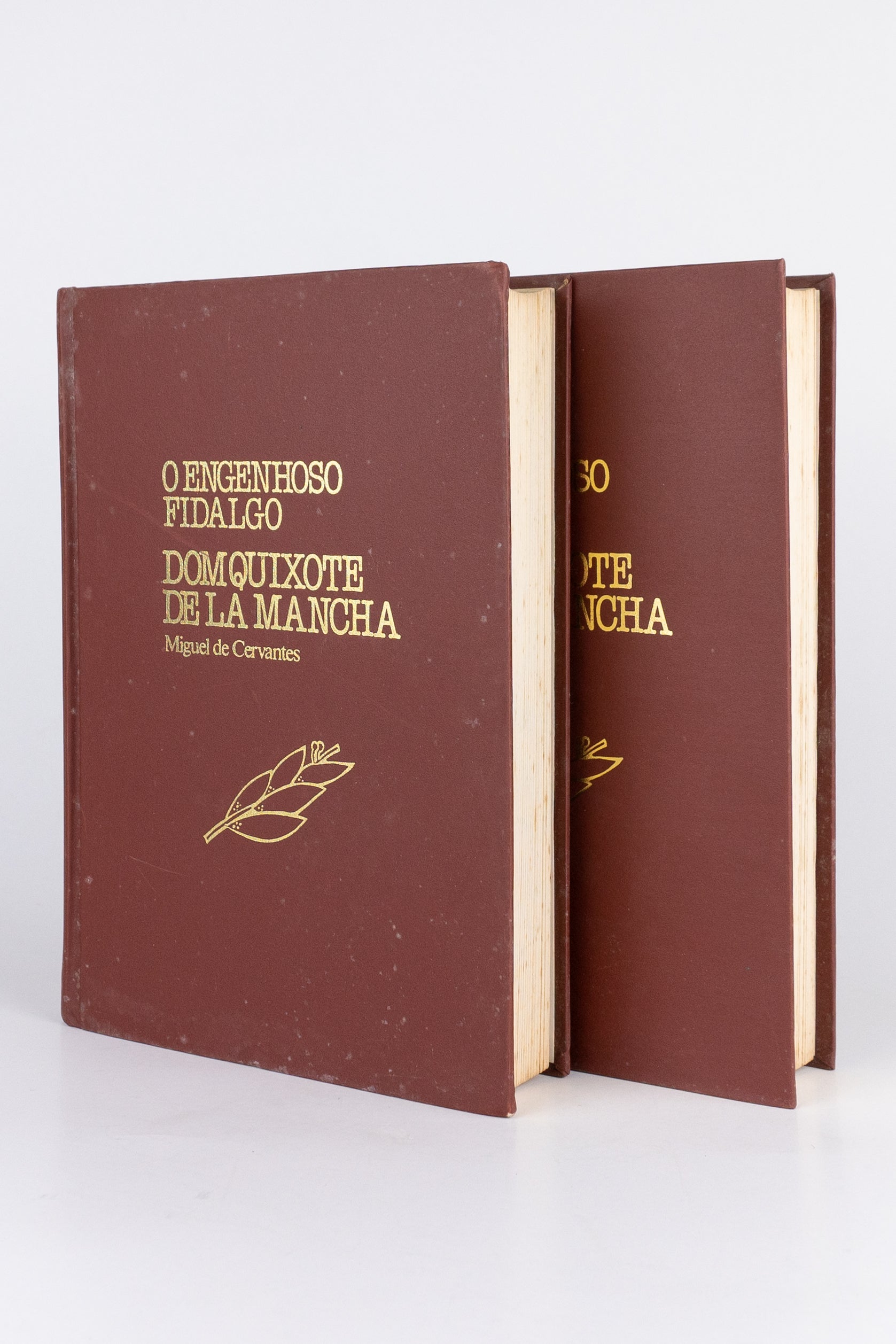 O Engenhoso Fidalgo Dom Quixote de La Mancha – MIGUEL DE CERVANTES (2 volumes)