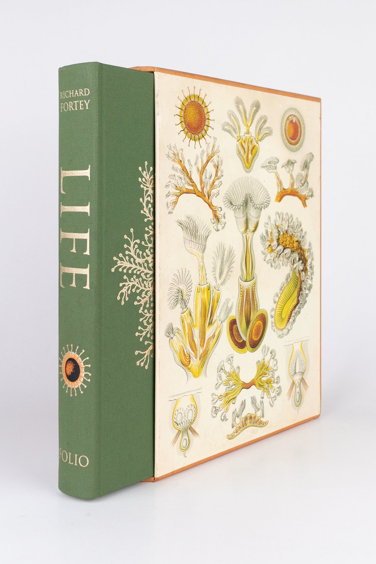 Life: An Unauthorised Biography – RICHARD FORTEY