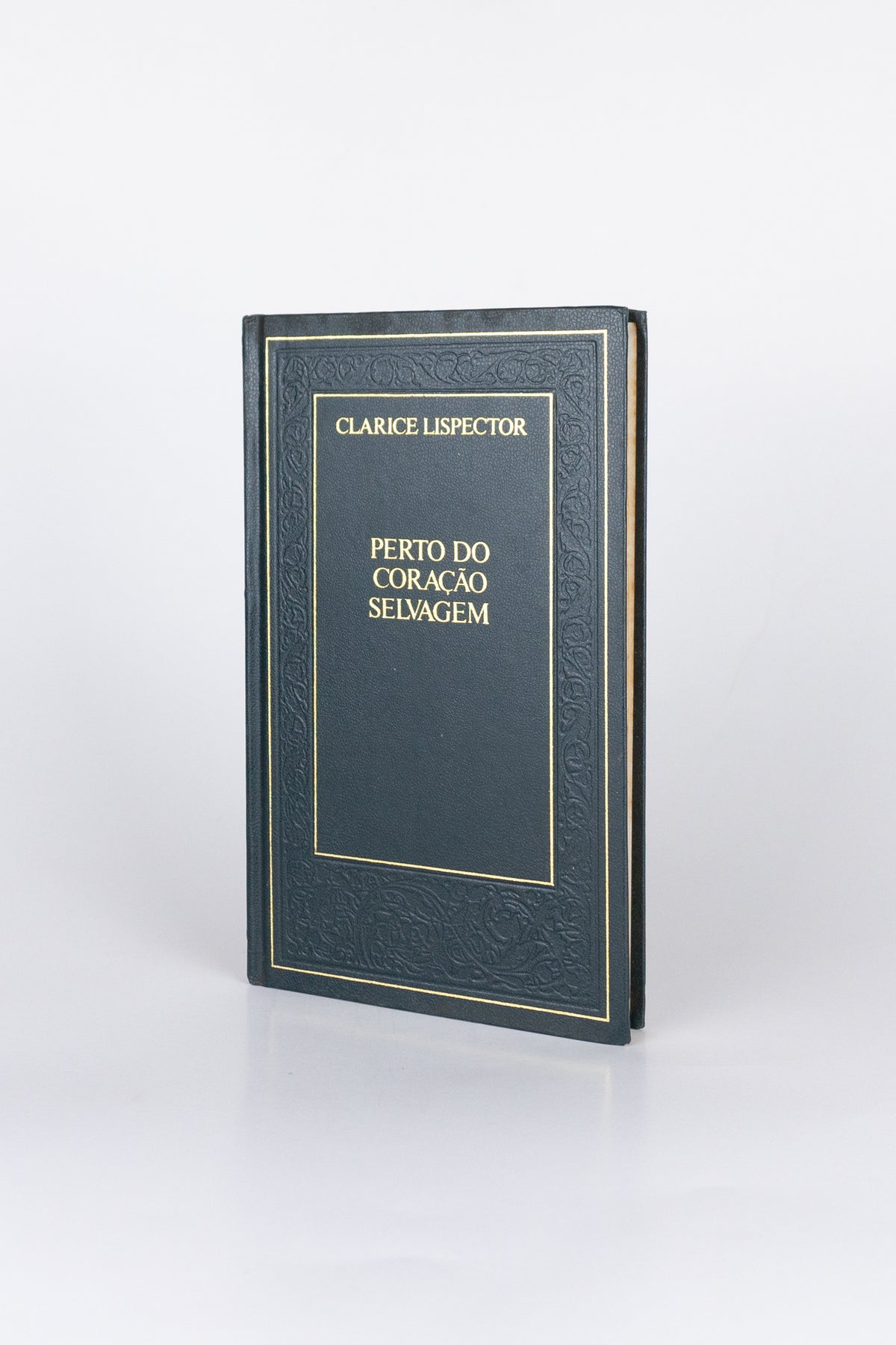 Perto do Coração Selvagem – CLARICE LISPECTOR