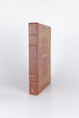 Germinal – ÉMILE ZOLA (com marcas do tempo)