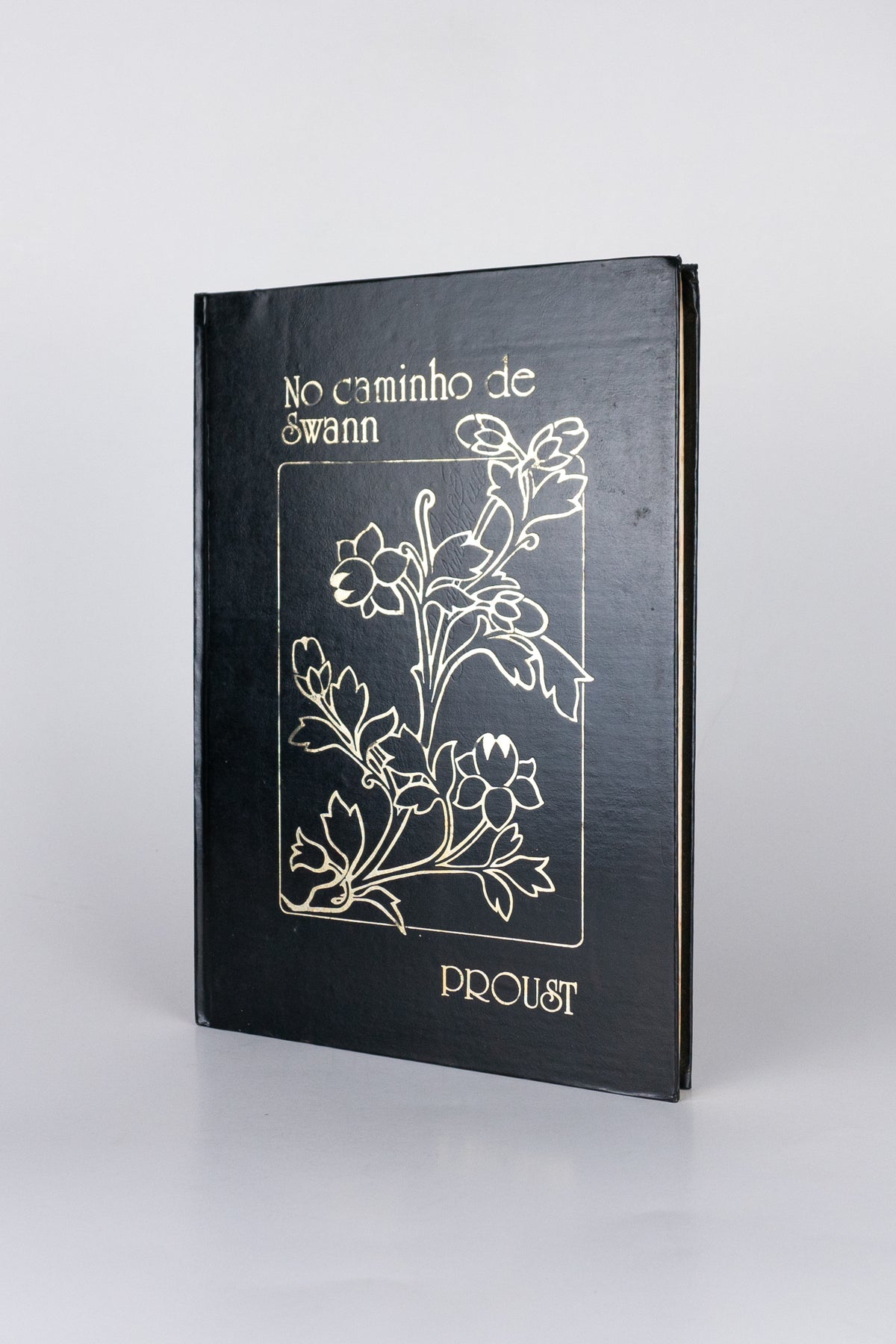 No Caminho de Swann – MARCEL PROUST (com marcas do tempo)