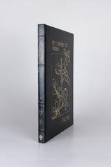 No Caminho de Swann – MARCEL PROUST (com marcas do tempo)