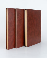 Coleção Os Economistas (47 volumes)