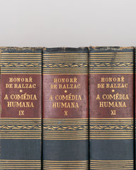 A Comédia Humana – HONORÉ DE BALZAC (15 volumes)