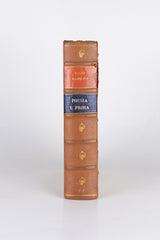 Poesia e Prosa – EDGAR ALLAN POE (com marcas do tempo)