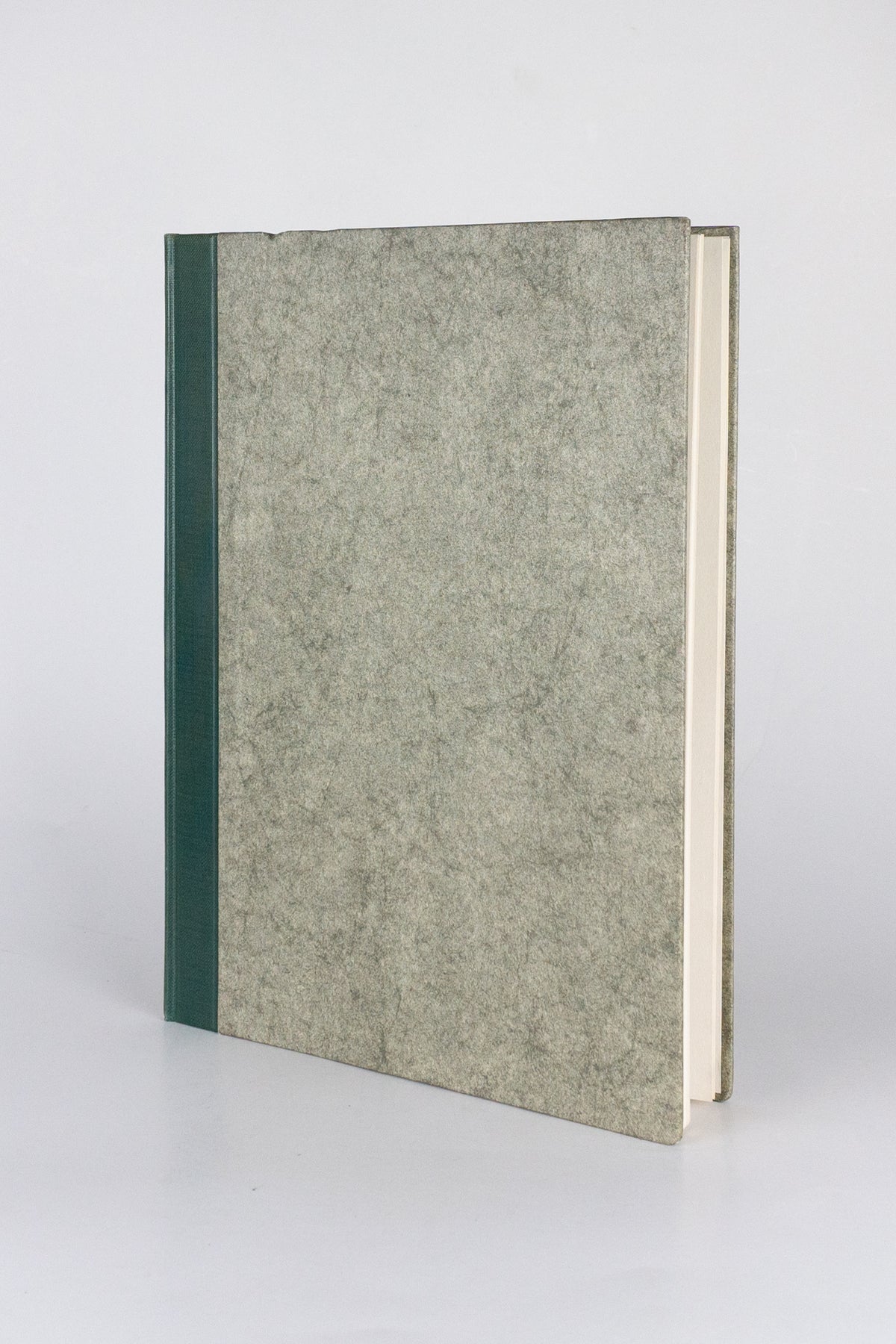 Renoir: Paintings, Drawings and Prints