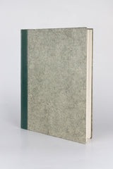 Renoir: Paintings, Drawings and Prints