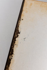 O Leopardo – LAMPEDUSA (com marcas do tempo)