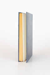 O Grande Gatsby - F. SCOTT FITZGERALD