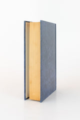 Batismo de Fogo – MARIO VARGAS LLOSA