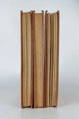 Decameron – BOCCACCIO (3 volumes)