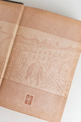 Coleção Lima Barreto (16 Volumes)