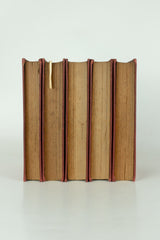 Nova Floresta – PE. MANUEL BERNARDES (5 Volumes)