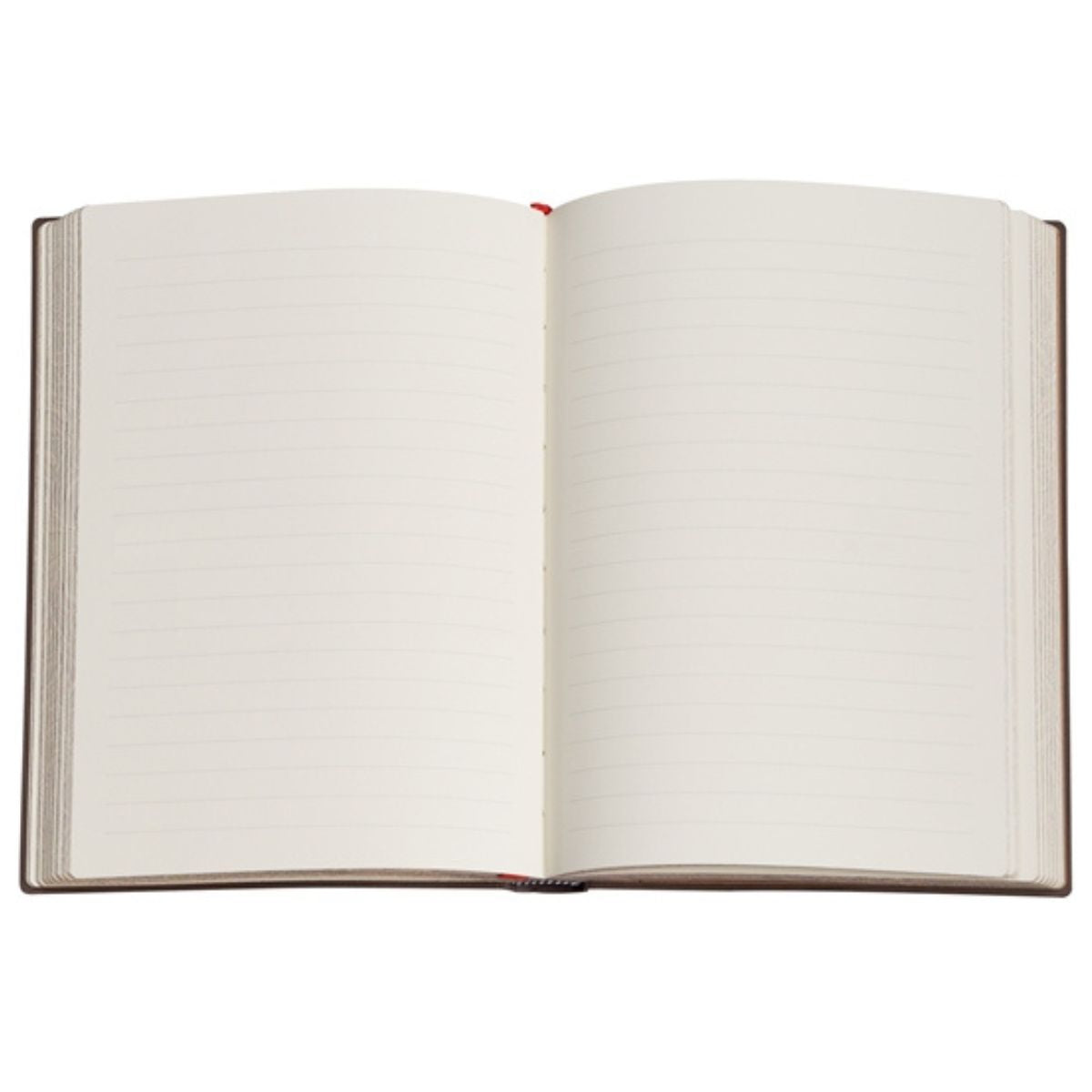 Journal Grolier Grande – Sem Pauta