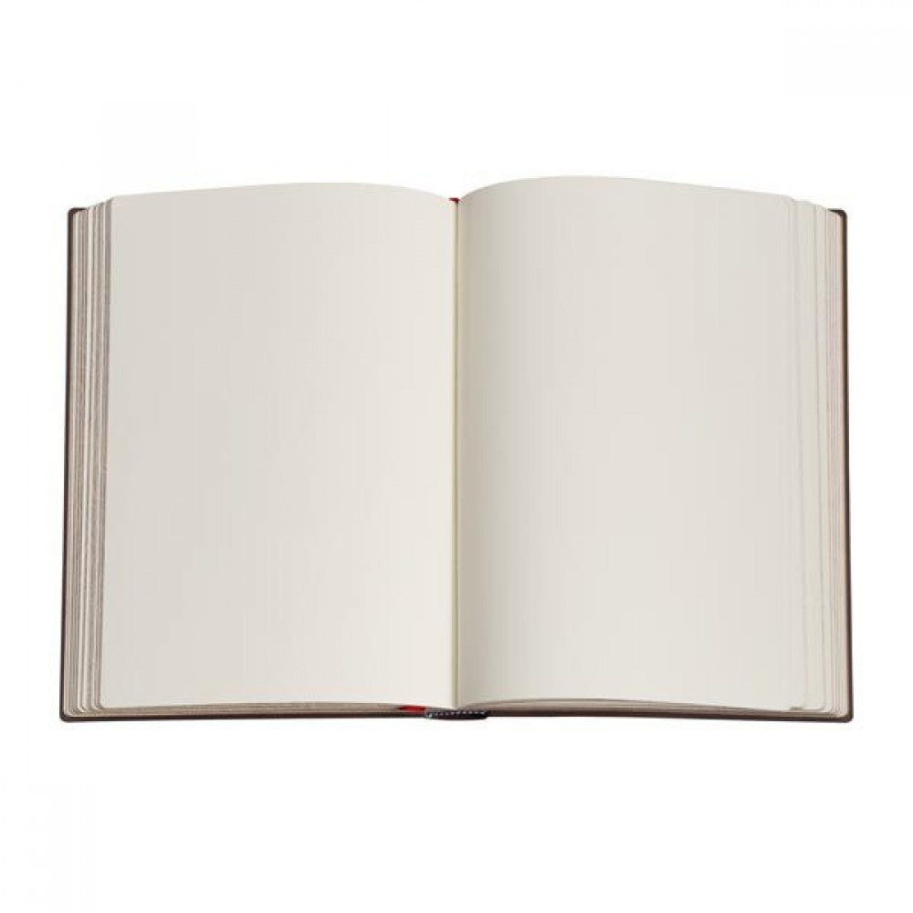 Journal Aurelia Grande - Sem Pauta