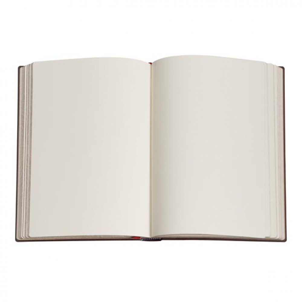 Journal Poetry in Bloom Grande – Sem Pauta