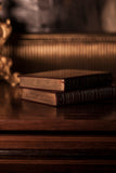 Tragédias / Comédias / Sonetos (2 volumes) - SHAKESPEARE (com marcas do tempo)
