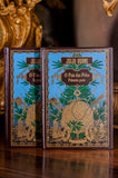 O País das Peles (2 volumes) - JÚLIO VERNE