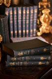 Coleção de José de Alencar (16 volumes)