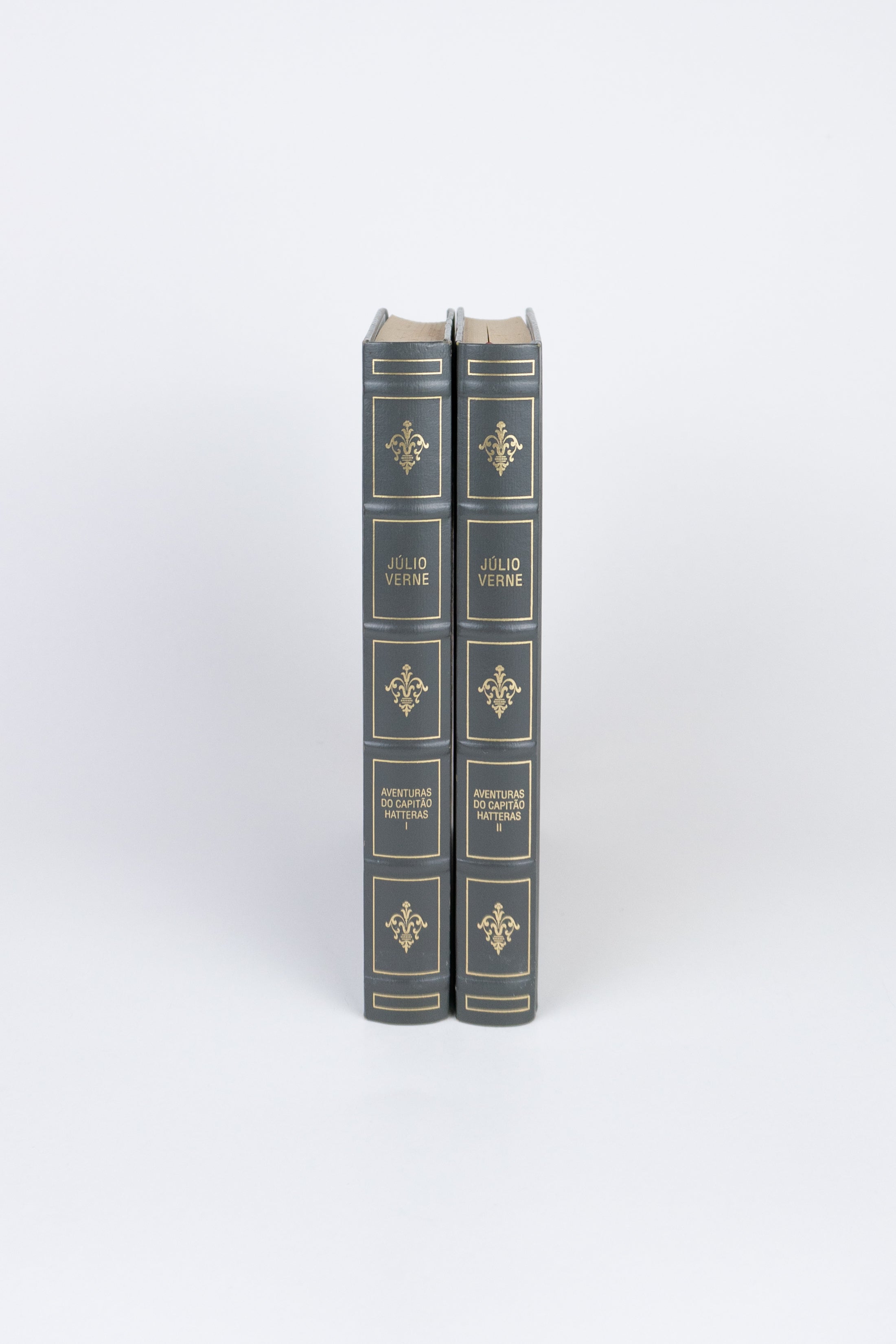 Aventuras do Capitão Hatteras: O Deserto de Gelo / Os Ingleses no Pólo Norte — JÚLIO VERNE (2 Volumes) (com marcas do tempo)
